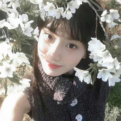 美国谍梦第四季